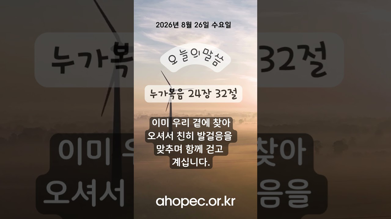 2026년 8월  26일  수요일