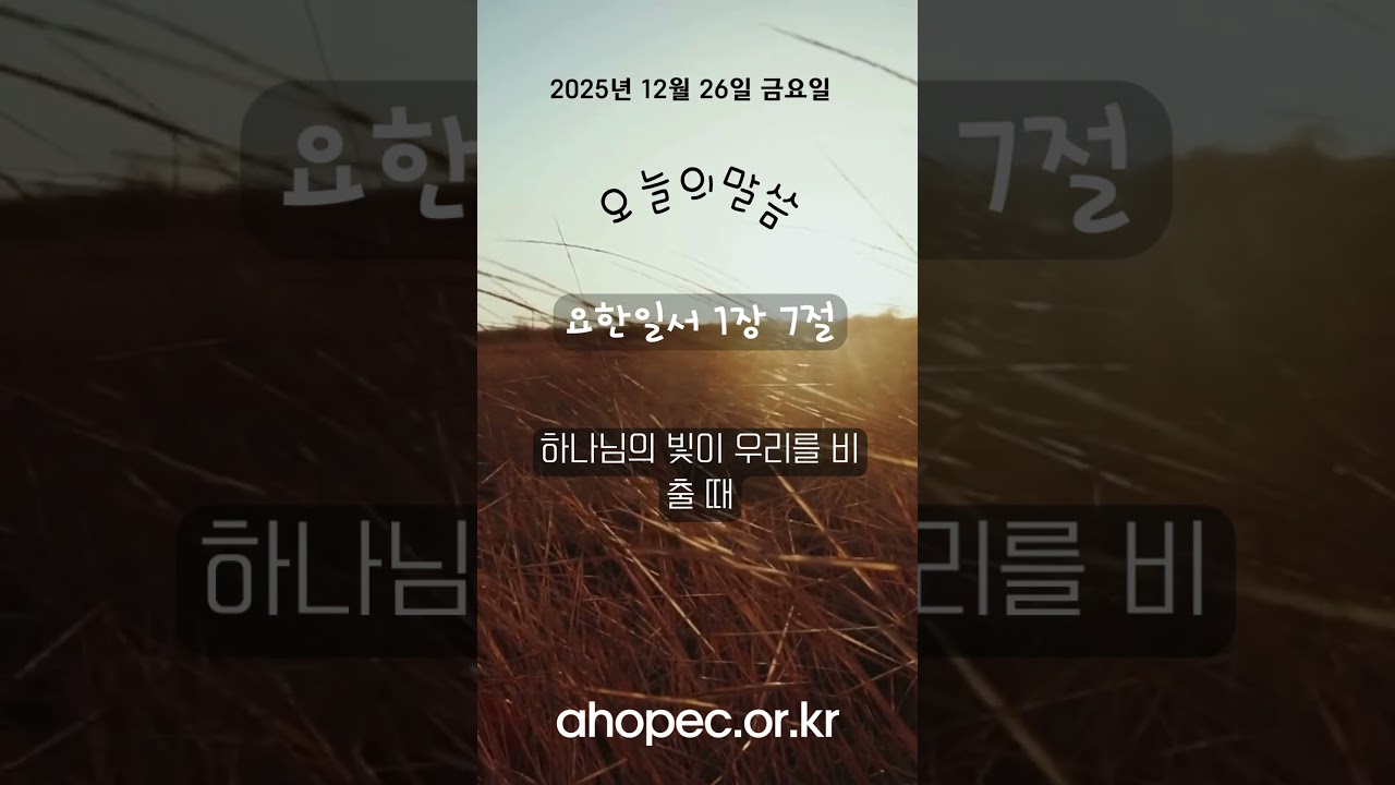 2025년 12월 26일 금요일