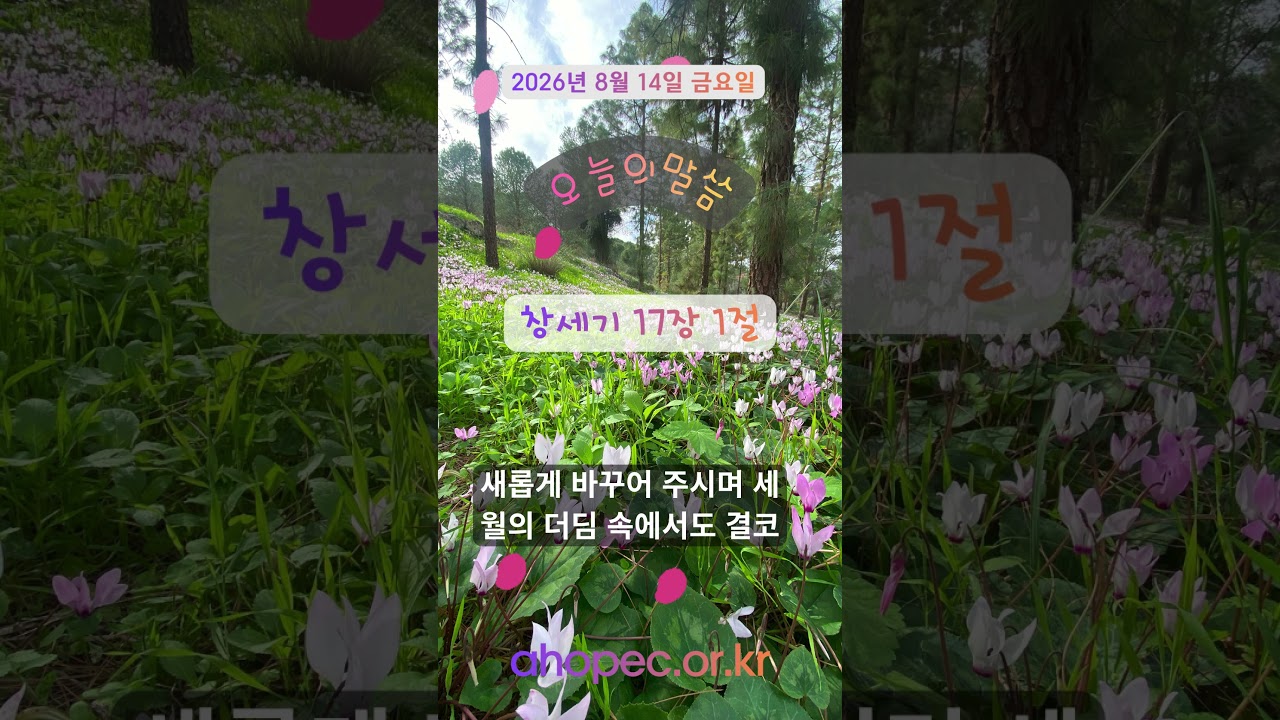 2026년 8월 14일 금요일