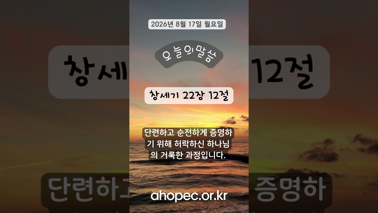 2026년 8월 17일 월요일