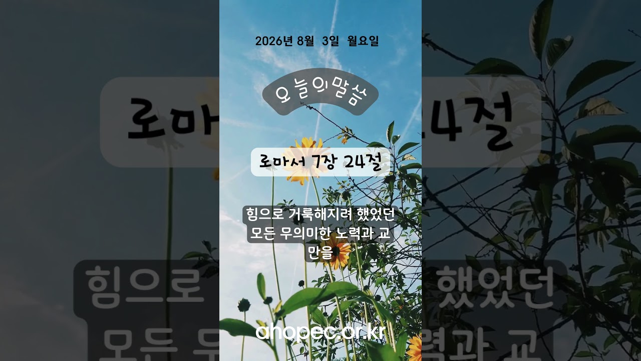 2026년 8월 3일 월요일