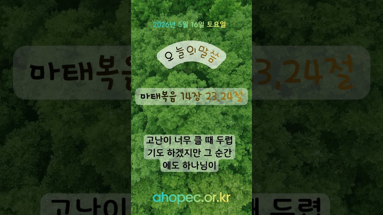 2026년 5월 16일 토요일
