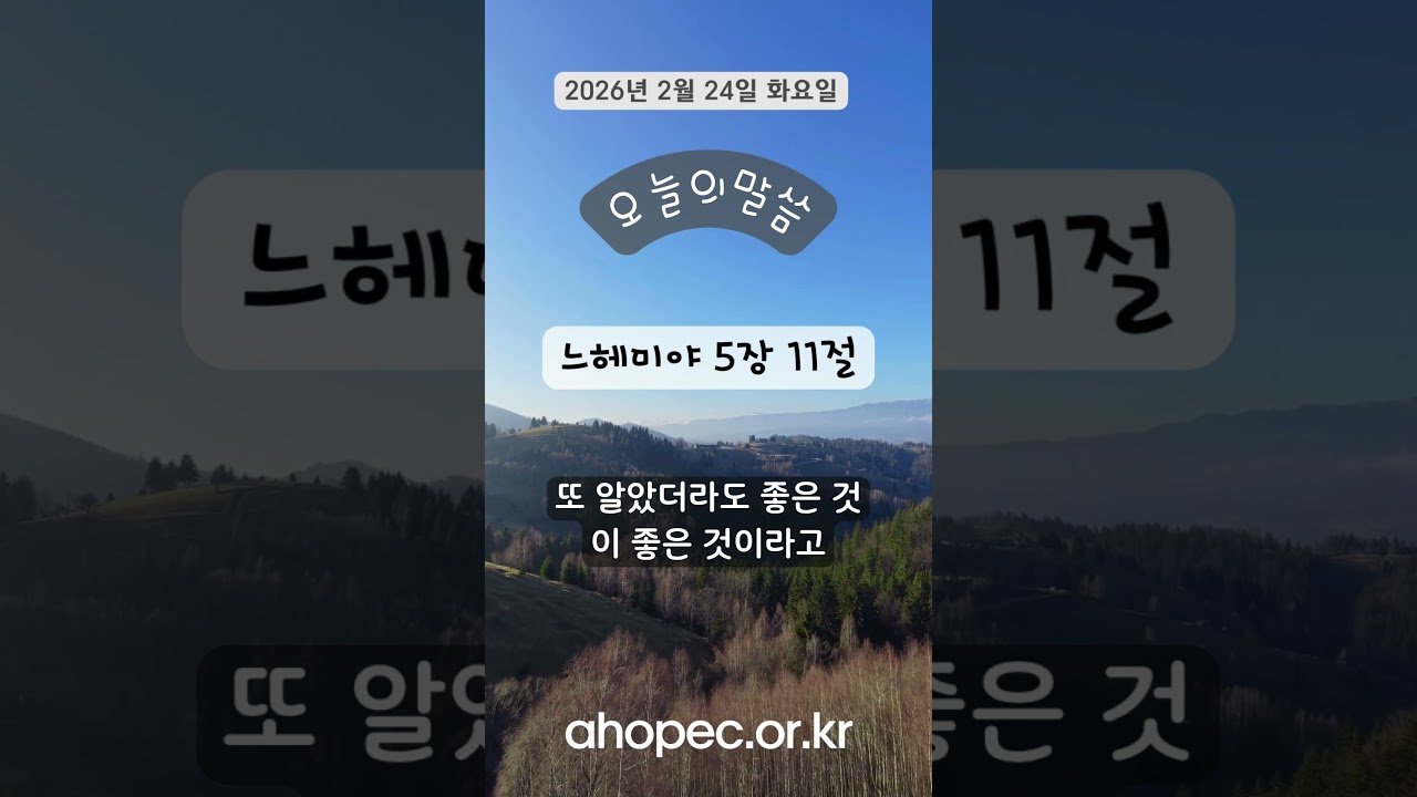 2026년 2월 24일 화요일