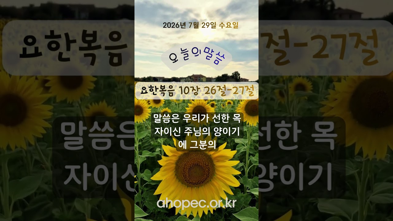 2026년 7월 29일 수요일