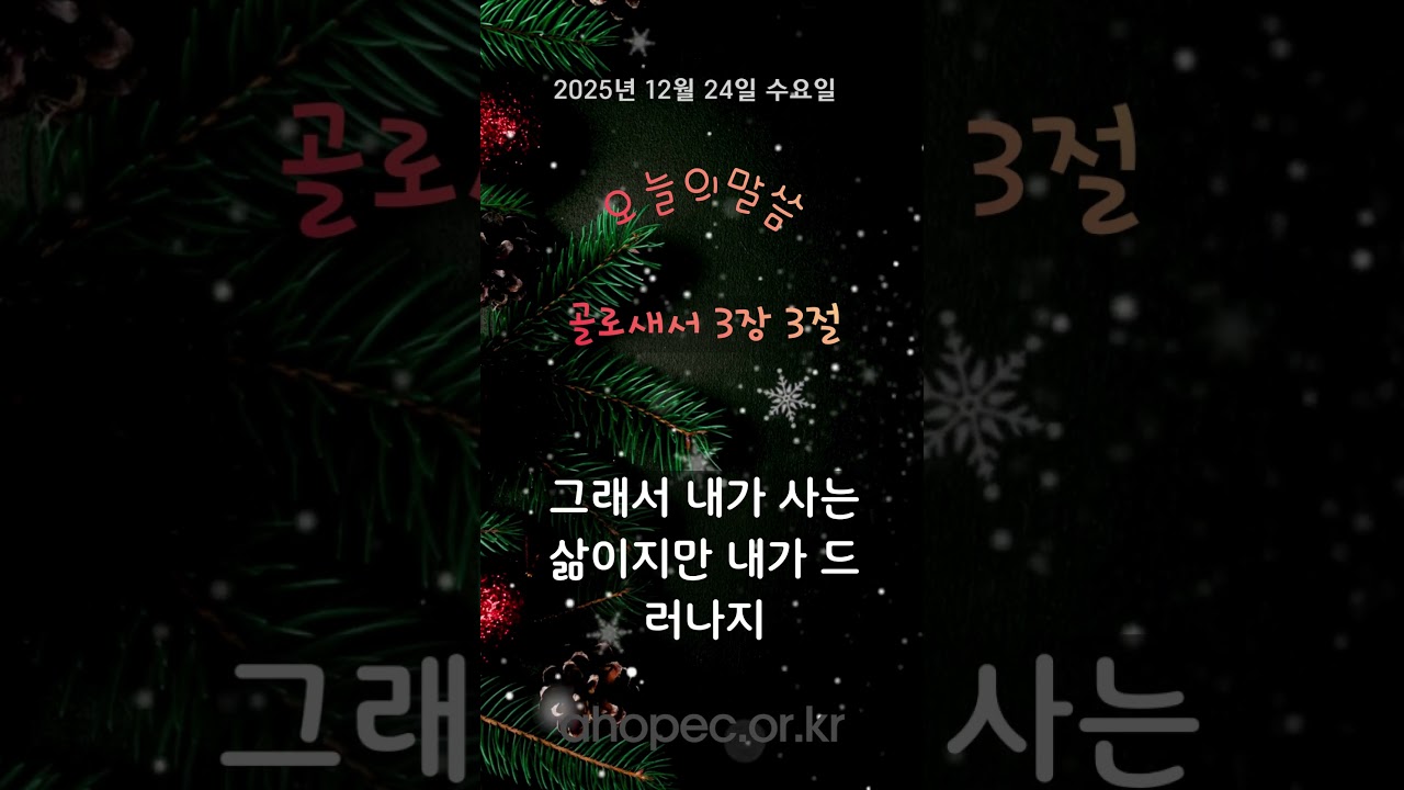 2025년 12월24일 수요일