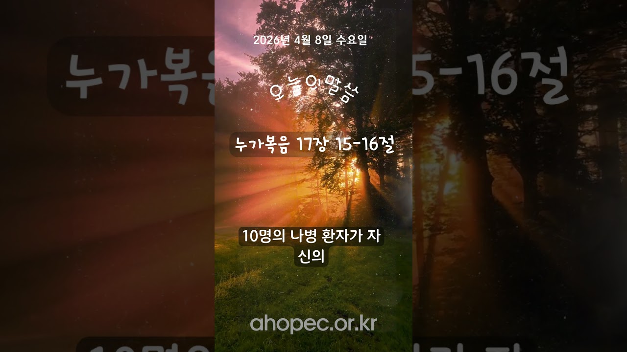 2026년 4월 8일 수요일