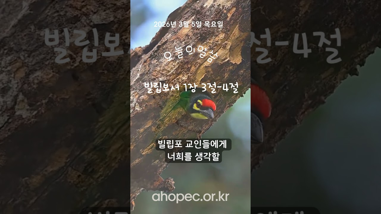 2026년 3월 5일 목요일