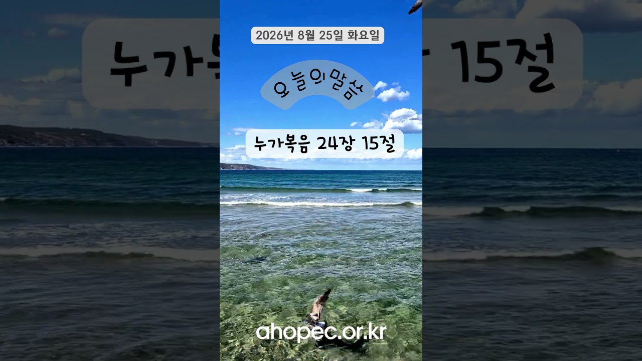 2026년 8월 25일 화요일