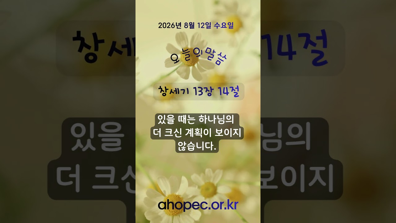 2026년 8월 12일 수요일