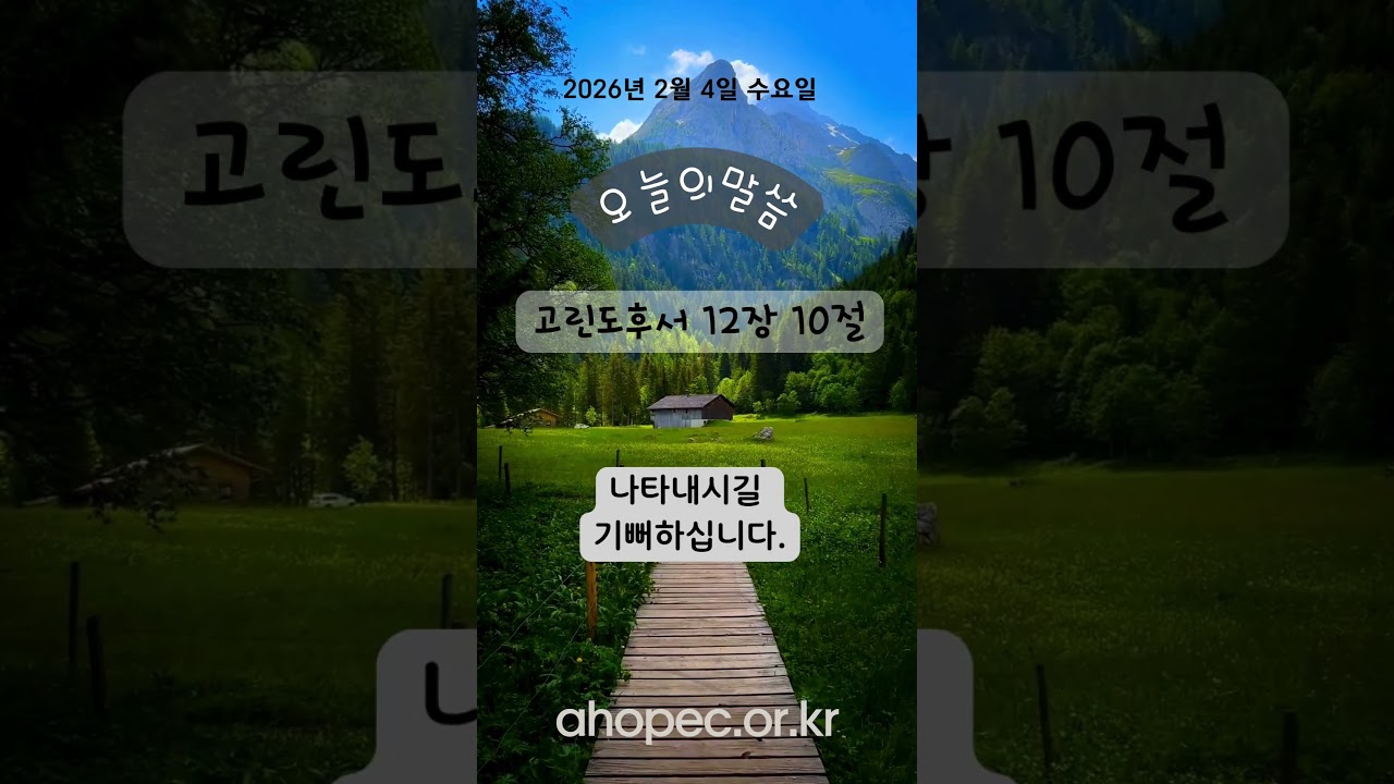 2026년 2월 4일 수요일