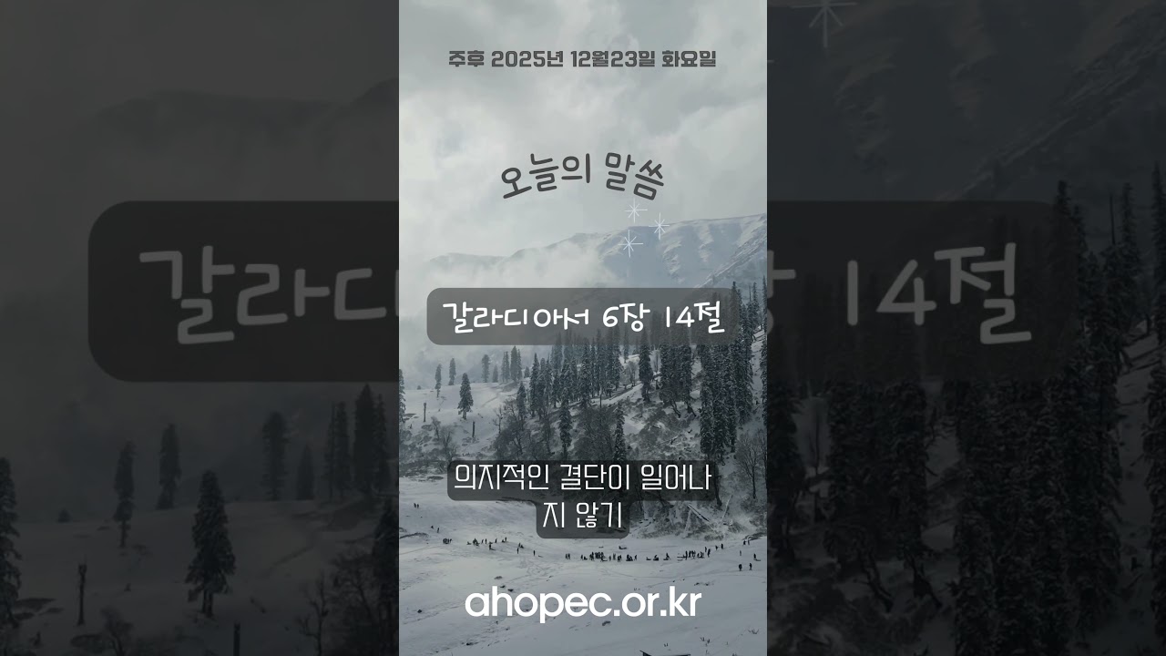 2025년 12월23일 화요일