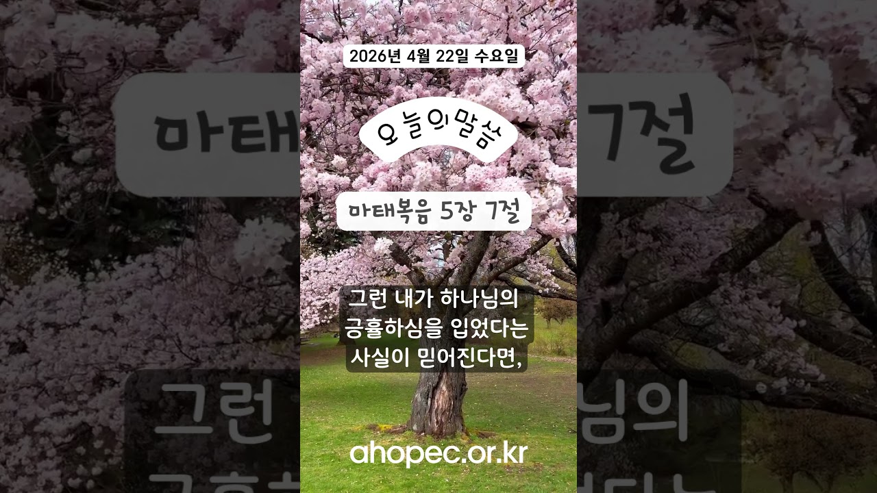 2026년 4월 22일 수요일