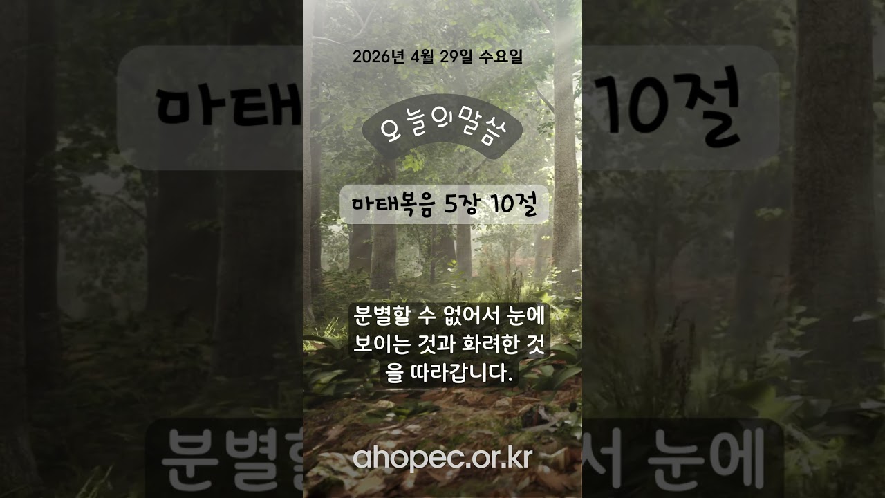 2026년 4월 29일 수요일