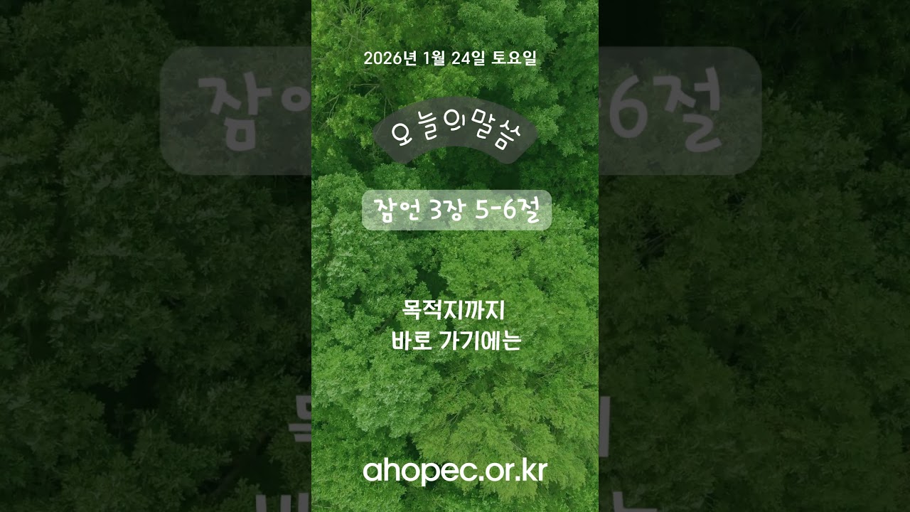2026년 1월 24일 토요일
