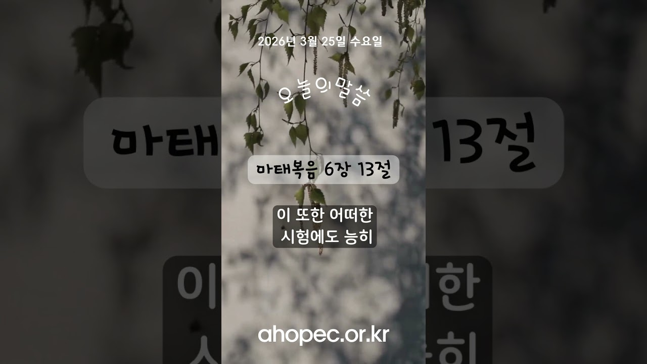 2026년 3월 25일 수요일