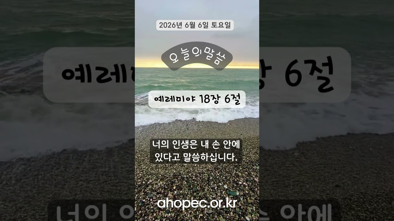 2026년 6월 06일 토요일