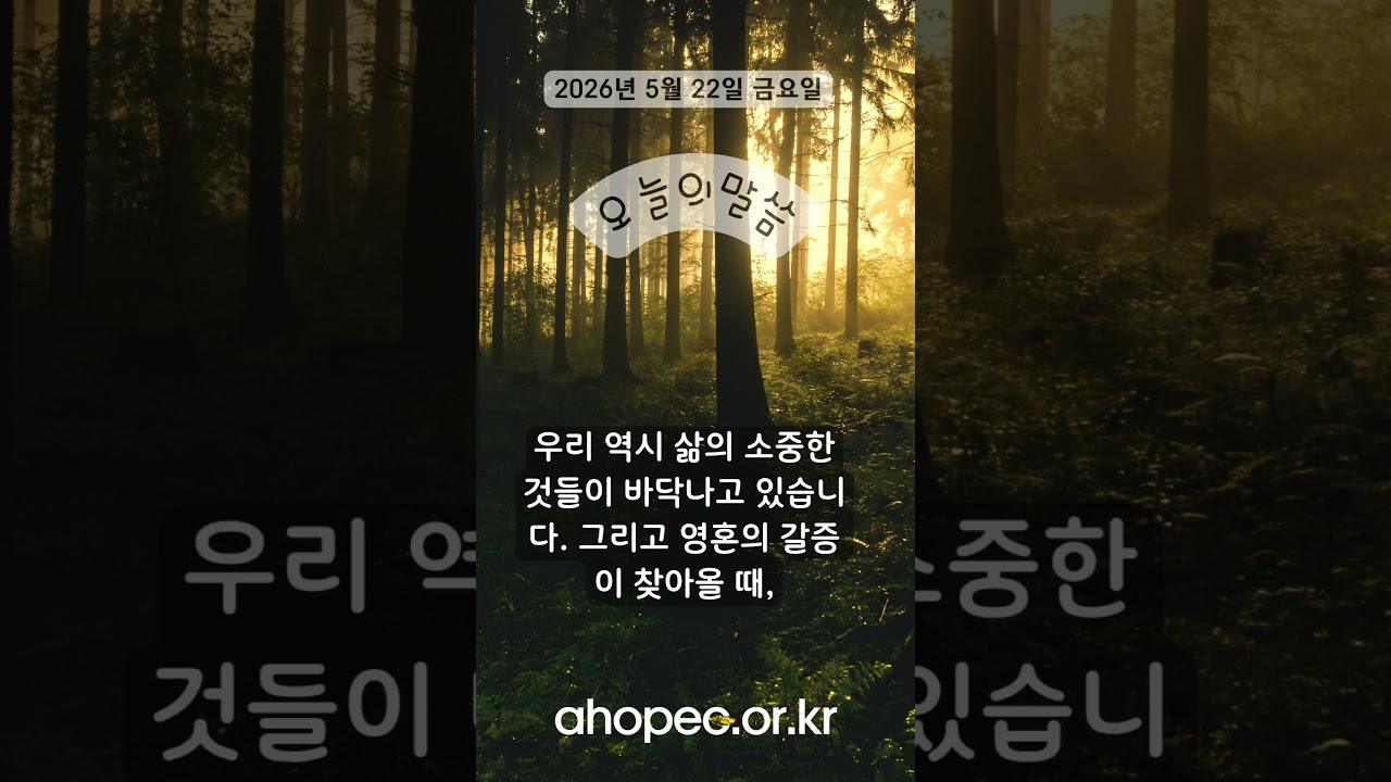 2026년 5월 22일 금요일