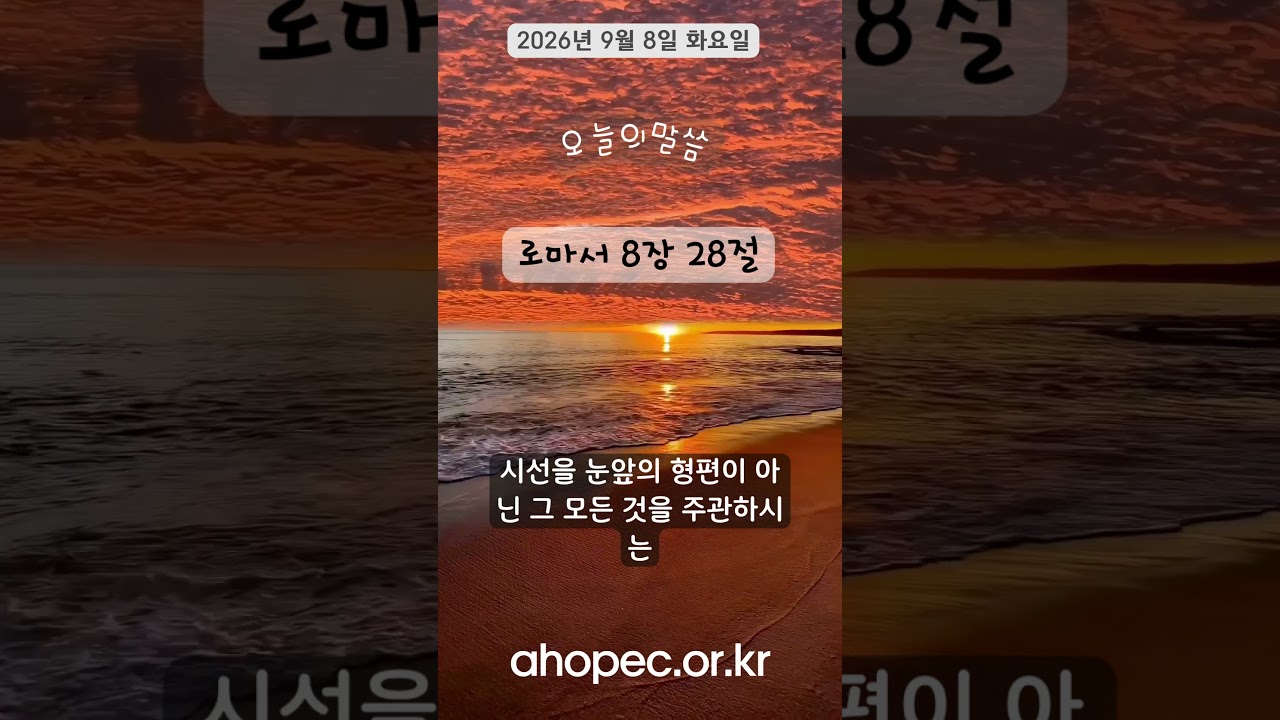 2026년 9월 8일 화요일