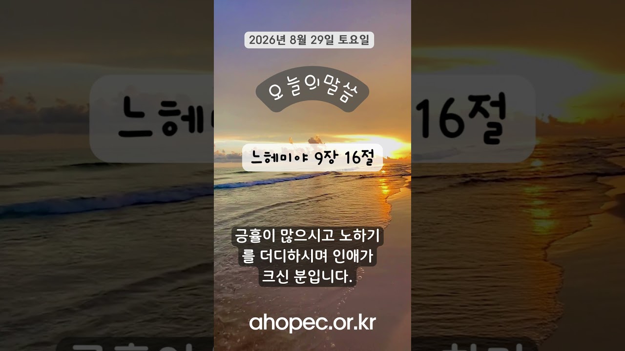 2026년 8월  29일  토요일