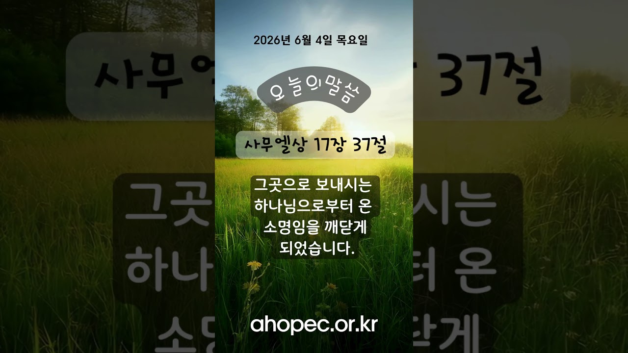 2026년 6월 04일 목요일
