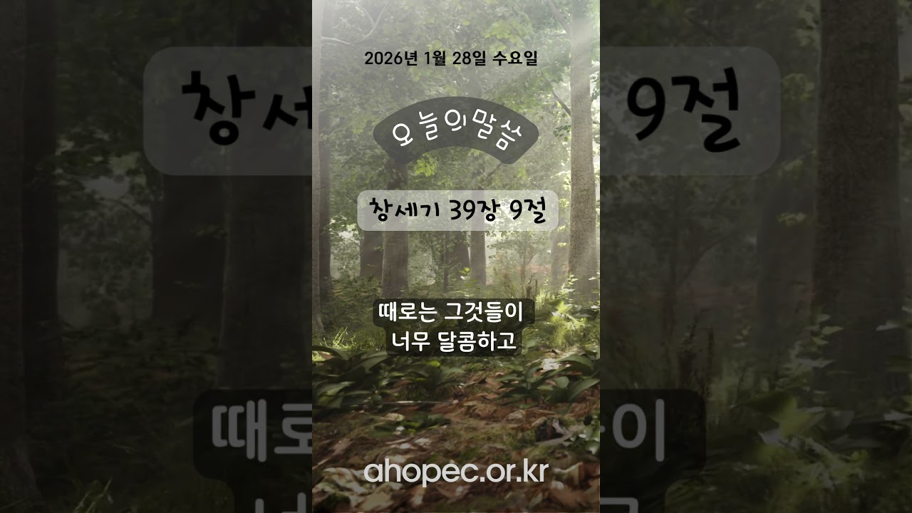 2026년 1월 28일 수요일