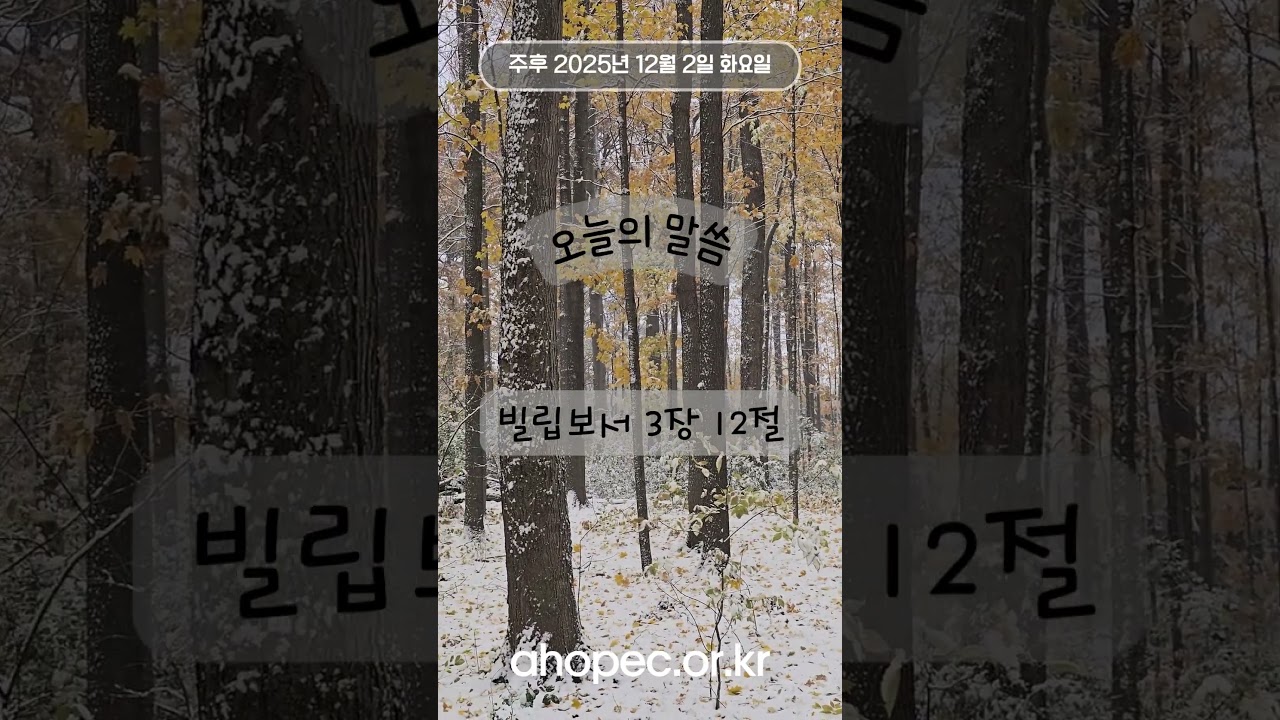 빌립보서 3장 12