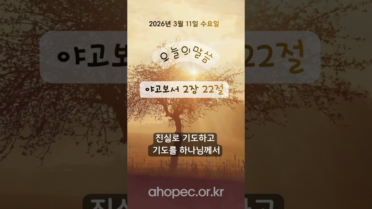 2026년 3월 11일 수요일