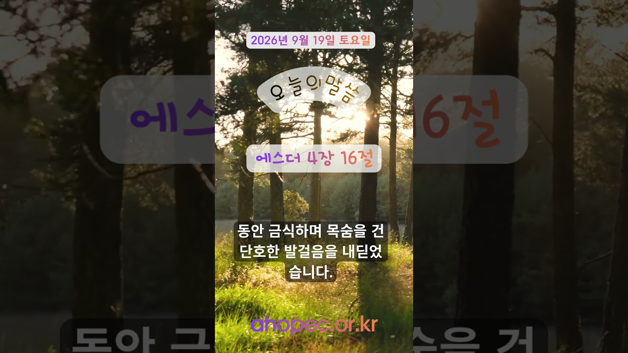 2026년 9월 19일 토요일