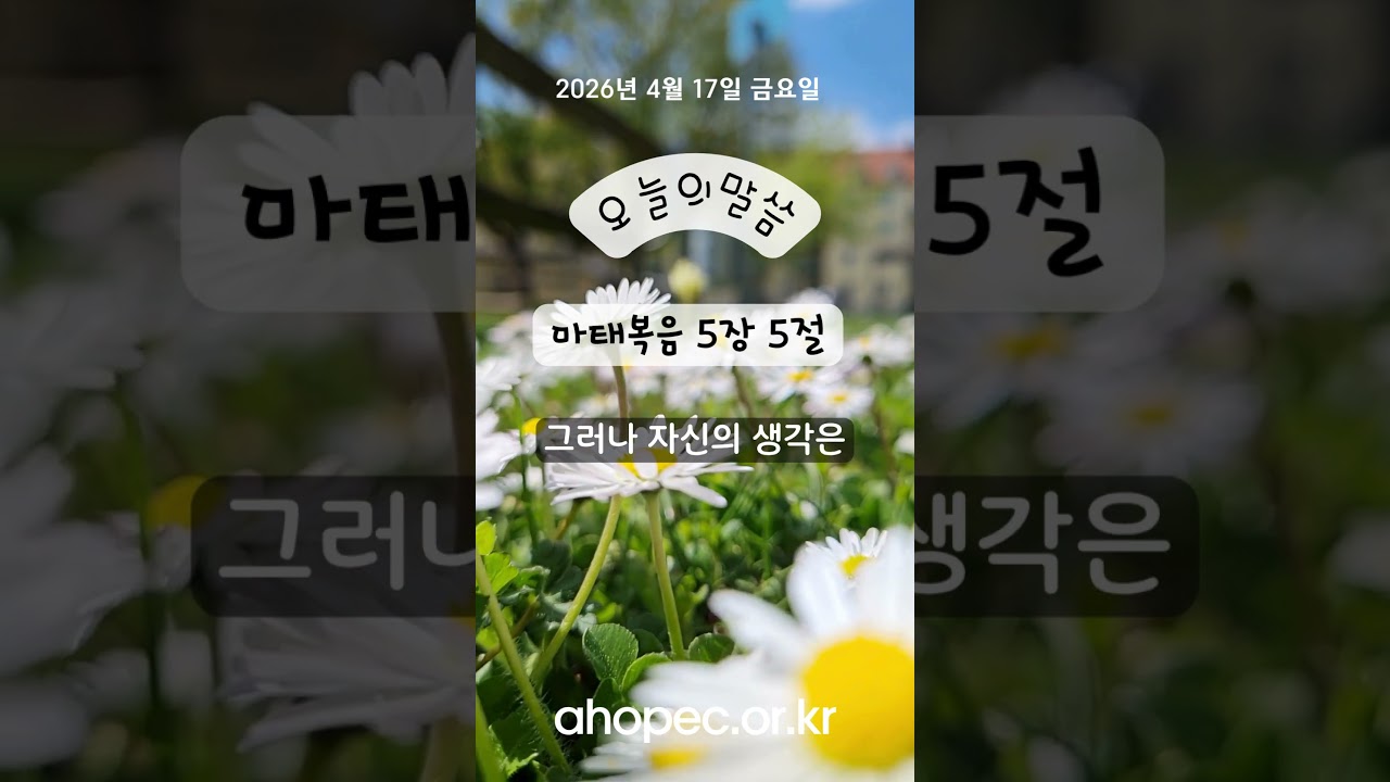 2026년 4월 17일 금요일