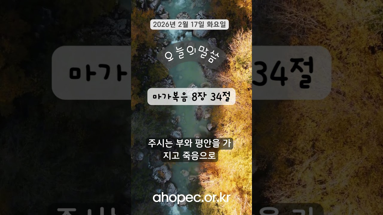 2026년 2월 17일 화요일