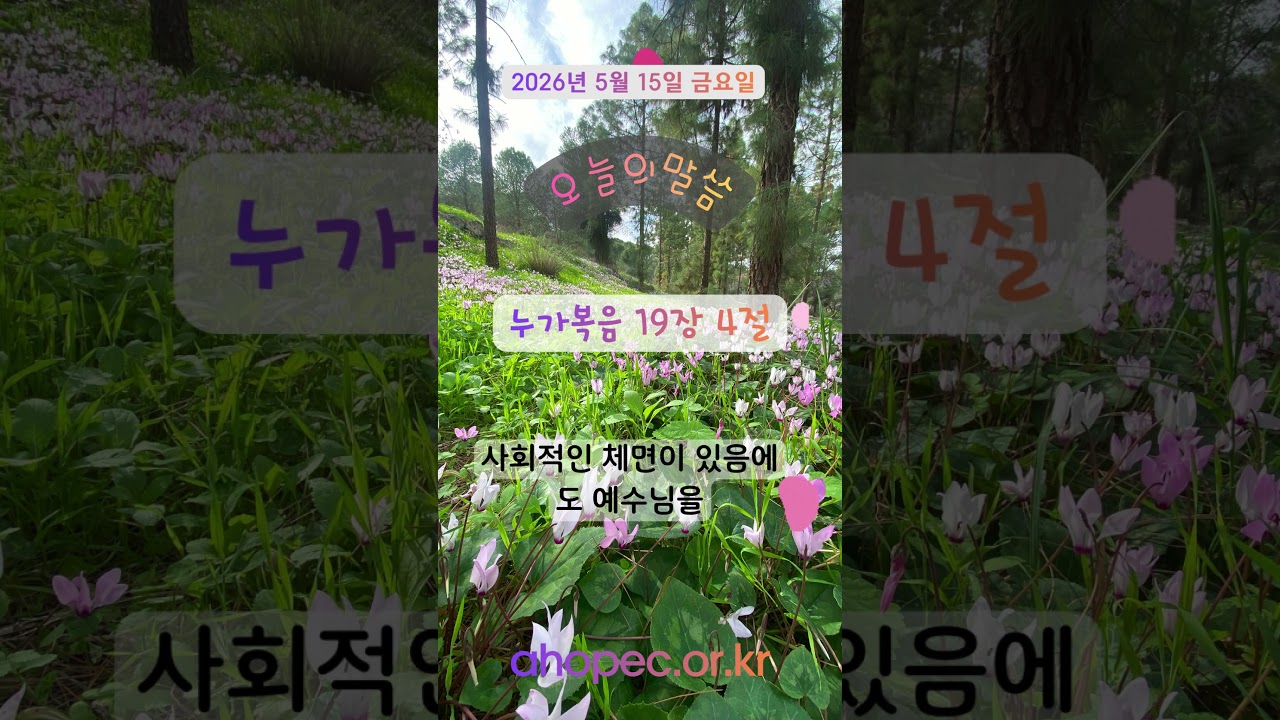 2026년 5월 15일 금요일