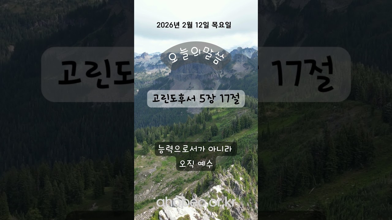 2026년 2월 12일 목요일