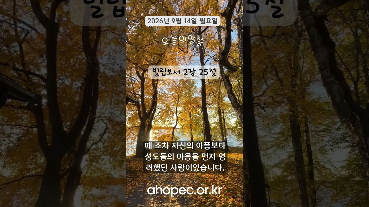 2026년 9월 14일 월요일