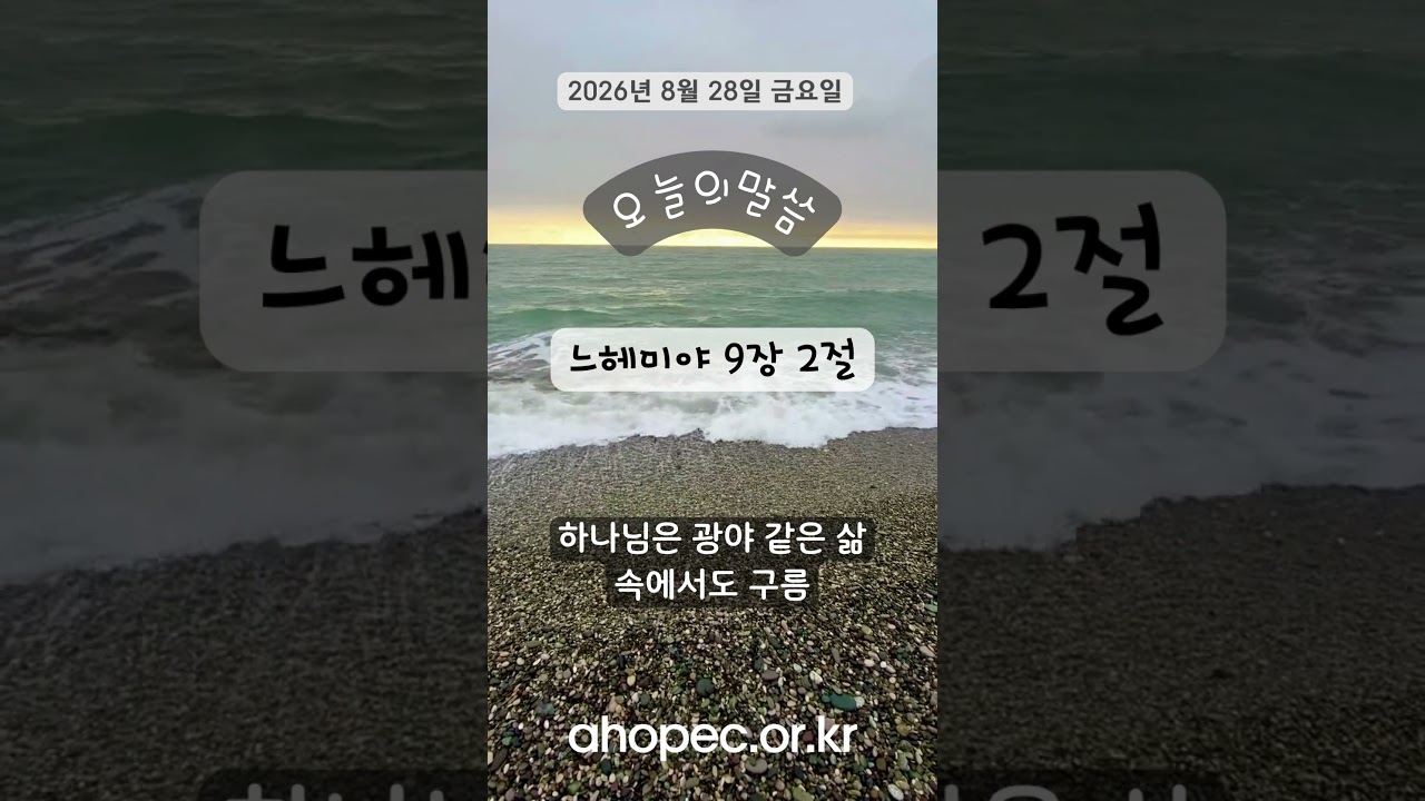 2026년 8월  28일  금요일
