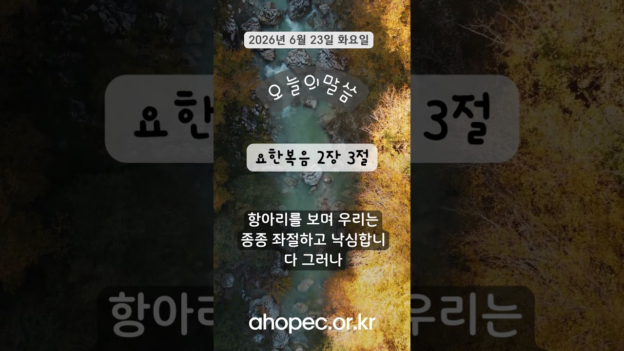 2026년 6월 23일 화요일