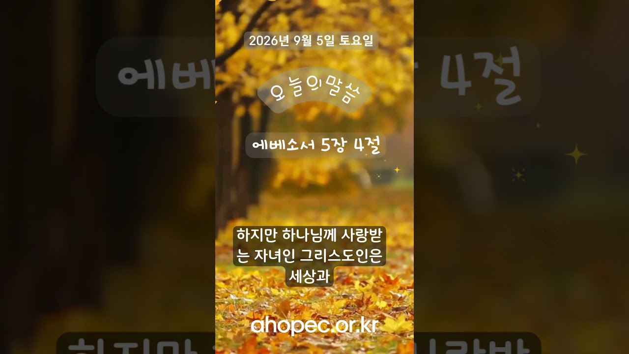 2026년 9월 5일 토요일