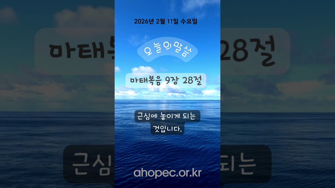 2026년 2월 11일 수요일