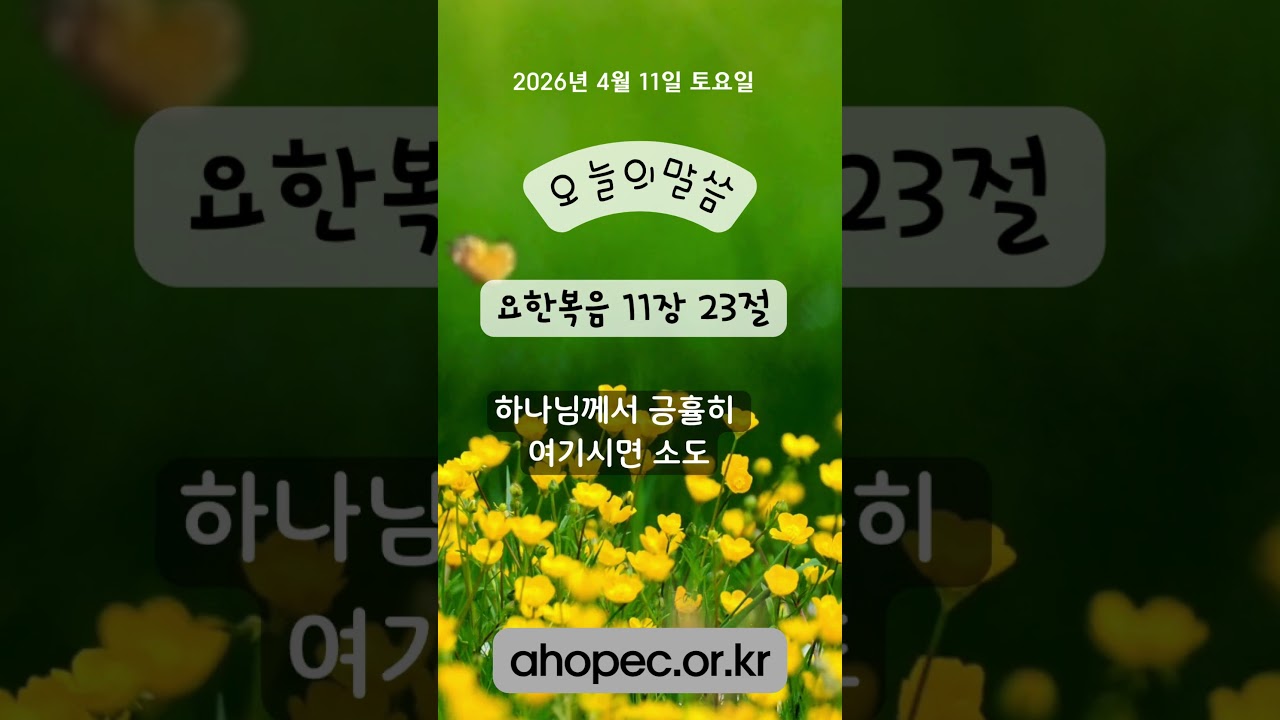 2026년 4월 11일 토요일