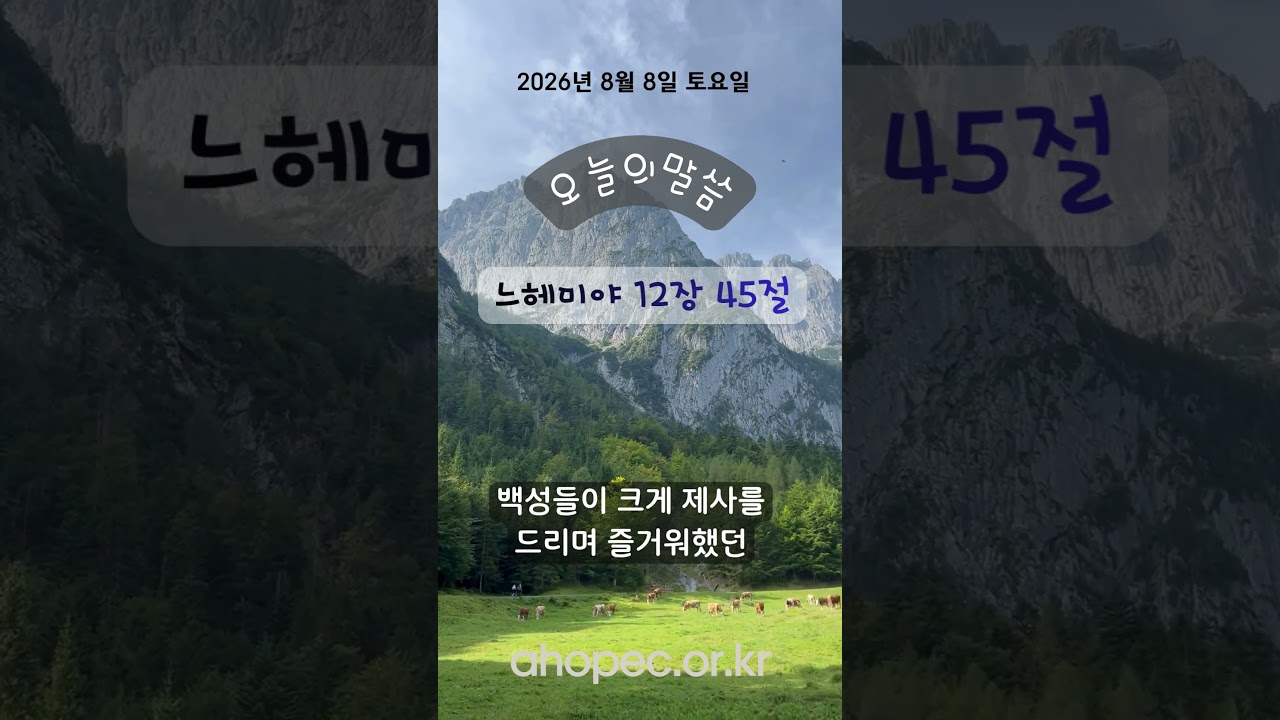 2026년 8월 8일 토요일