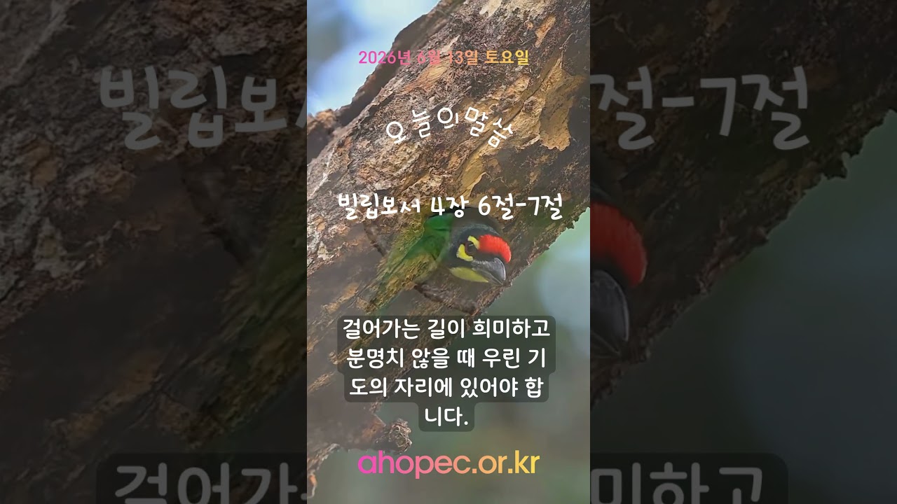 2026년 6월 13일 토요일